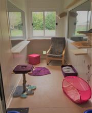 L'Arbre à chats - Pension pour chats image 2