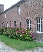 Clair De Baie image 3