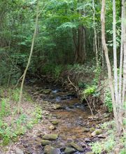 YMCA Camp Harrison image 1