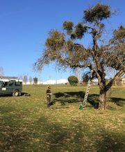 Nicolas Varidel Nature+Jardins Bild 2