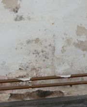 Matthias König Bild 1