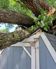 Whitledge Tree Service LLC image 9