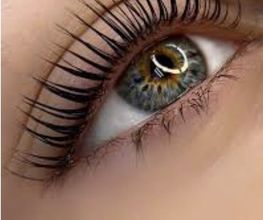GK Beauty Lounge Bild 6