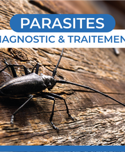 RP France Bordeaux image 8