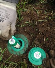 Lorillou Ets image 6