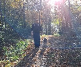 Projekt Seelenhund Bild 1