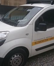 Blumenstein - Urech SA Bild 2