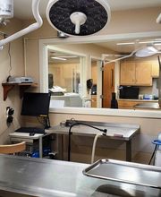Northgate Animal Hospital image 17