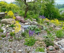 Wildblumendienst Bild 9