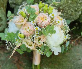 Blumen Hirter Bild 11