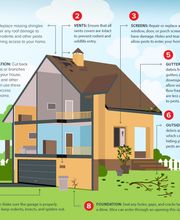 Source Pest Control image 2