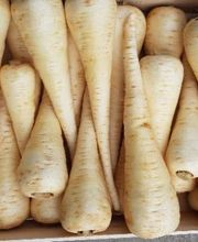 Fraiseraie du Lac image 5