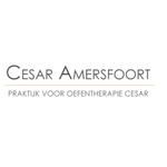 Oefentherapie Cesar Amersfoort