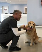 Westwood Regional Veterinary Hospital image 7