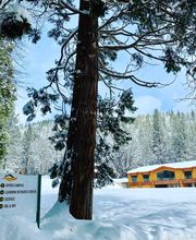 Feather River College image 1