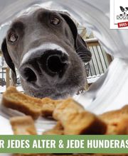 DOGS-HEART Bild 3
