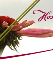 Hospenthal - Kägi AG Bild 1