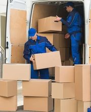 All Moves Are Us image 8