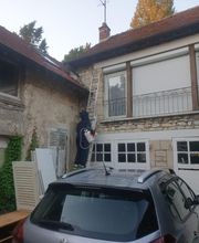 NUISIBLES INTERVENTION image 3