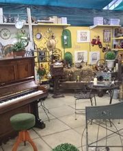 Jardinerie Champs Fleurs image 17