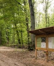 FriedWald Oberkrämer Bild 11