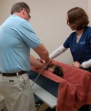 Town & Country Veterinary Clinic image 3