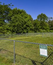 Shippensburg Village Townhomes image 13
