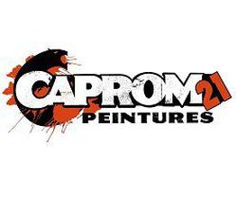 Caprom 21 SARL image 3