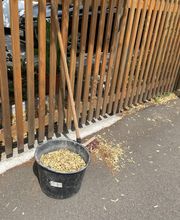 IMG_1633.jpeg