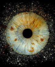 Iris Galerie image 20