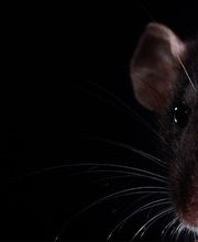 Atlantique Services 3 D image 1