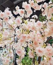 Art et Fleurs image 5
