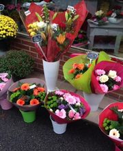 Pinot Fleurs EURL image 8