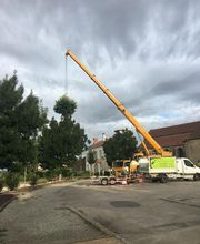 Des Racines à la Cime image 13