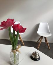 Kleintierpraxis Rhenus Bild 5