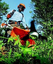 GaLapflege Bergmann Bild 5