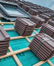 Feron Louis image 16