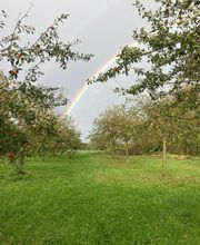 Cidrerie de Cozmezou image 5