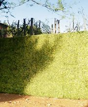 CIP Swiss Sàrl Bild 3