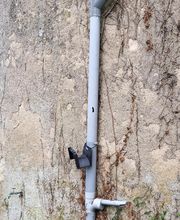 Renard Dianni image 7