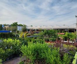 Intratuin Nijkerk afbeelding 4