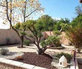 Guilhot Paysage image 19