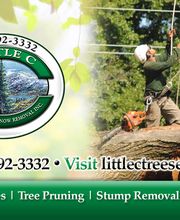 Little C Tree Service image 10