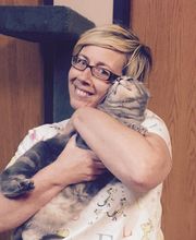 The Pet Doctor - O'Fallon image 1