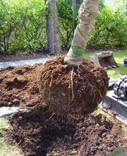 Fillon Parcs et Jardins Bild 4