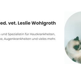 Katzen-Praxis.ch Bild 1