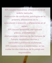 pm-acupuntura imagen 10