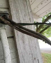 Dailey Company, Inc. image 12