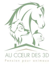 AU COEUR DES 3 D