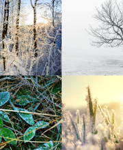 Bruderer Gartenbau AG Bild 4